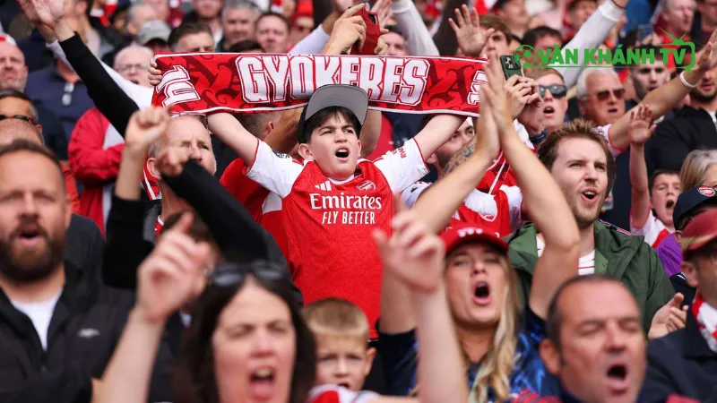 Arsenal fan hả hê với chiến thắng và chế nhạo Postecoglou